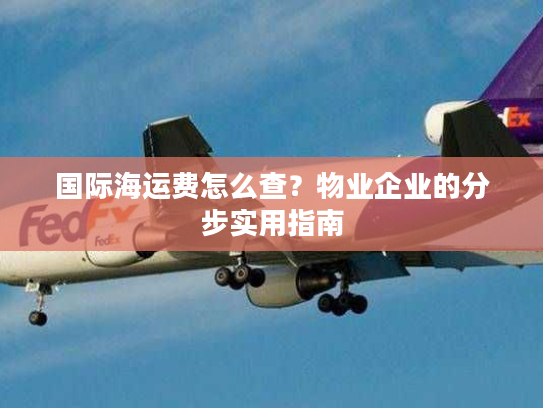 国际海运费怎么查？物业企业的分步实用指南