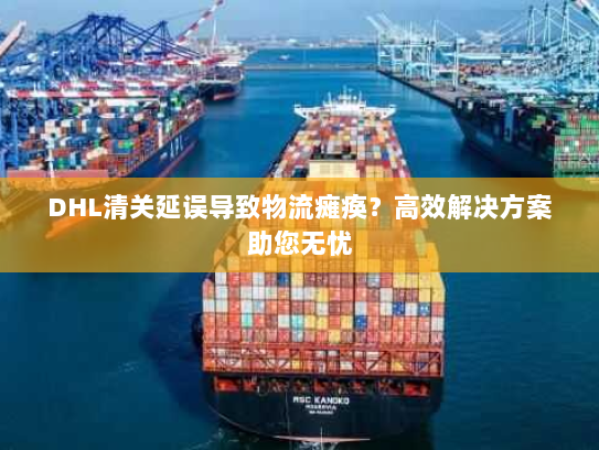 DHL清关延误导致物流瘫痪?高效解决方案助您无忧 DHL清关延误导致物流瘫痪?高效解决方案助您无忧