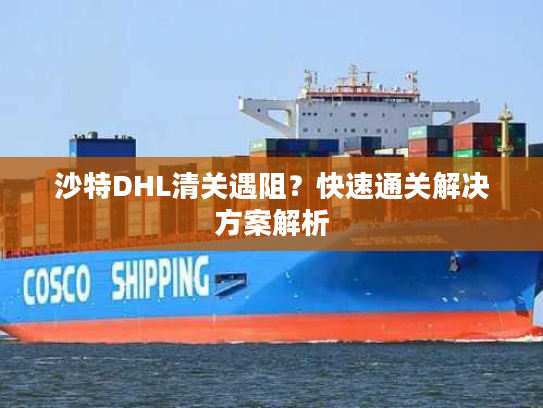 沙特DHL清关遇阻？快速通关解决方案解析