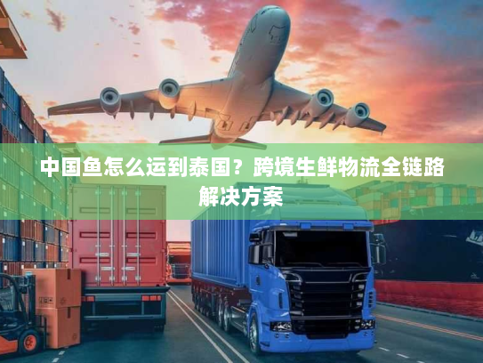 中国鱼怎么运到泰国?跨境生鲜物流全链路解决方案 中国鱼怎么运到泰国?跨境生鲜物流全链路解决方案