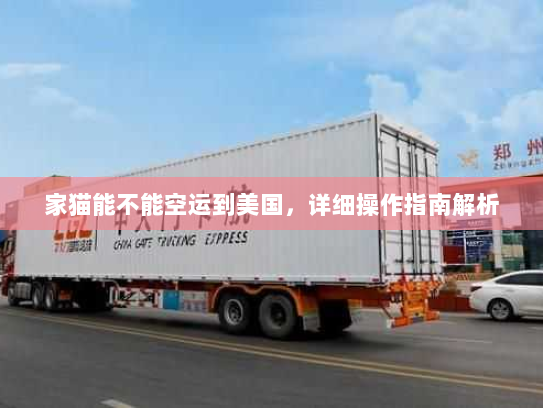 家猫能不能空运到美国,详细操作指南解析 家猫能不能空运到美国,详细操作指南解析
