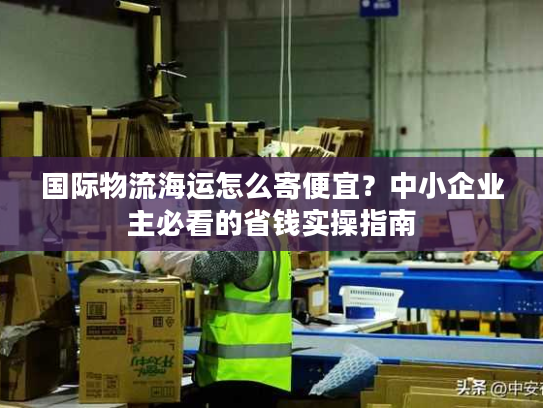 国际物流海运怎么寄便宜？中小企业主必看的省钱实操指南