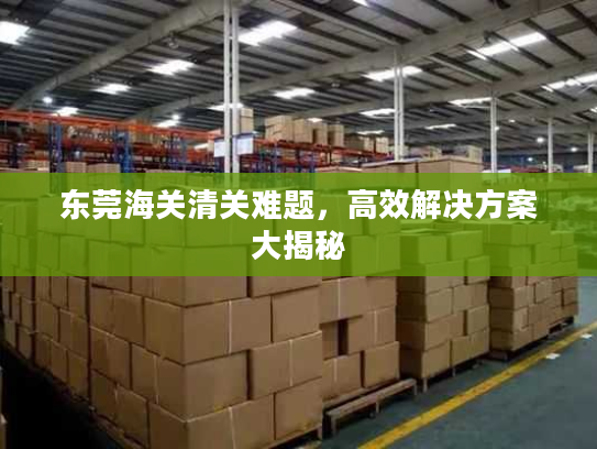 东莞海关清关难题，高效解决方案大揭秘