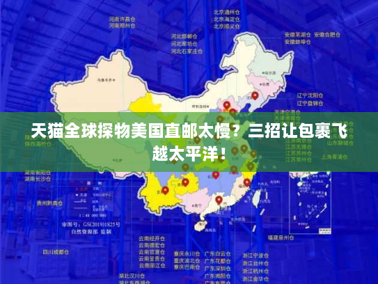 天猫全球探物美国直邮太慢？三招让包裹飞越太平洋！