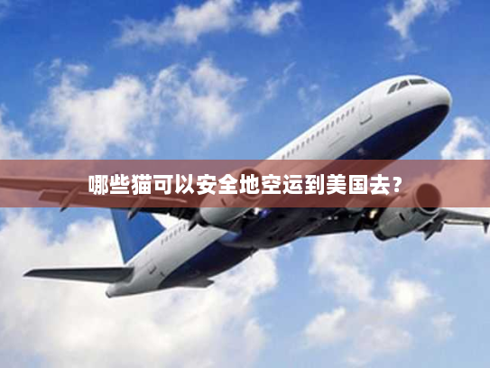 哪些猫可以安全地空运到美国去? 哪些猫可以安全地空运到美国去?