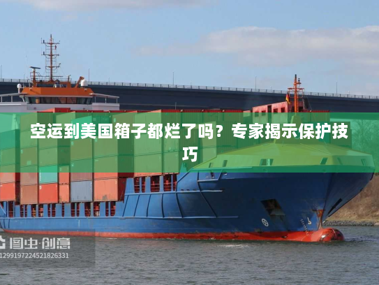 空运到美国箱子都烂了吗?专家揭示保护技巧 空运到美国箱子都烂了吗?专家揭示保护技巧