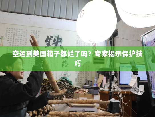 空运到美国箱子都烂了吗?专家揭示保护技巧 空运到美国箱子都烂了吗?专家揭示保护技巧