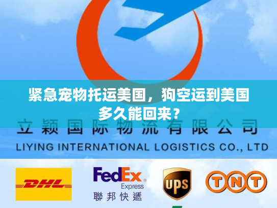 紧急宠物托运美国，狗空运到美国多久能回来？