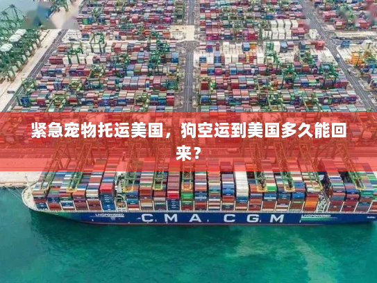 紧急宠物托运美国,狗空运到美国多久能回来? 紧急宠物托运美国,狗空运到美国多久能回来?