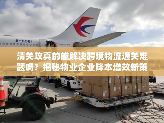 清关攻真的能解决跨境物流通关难题吗？揭秘物业企业降本增效新策略