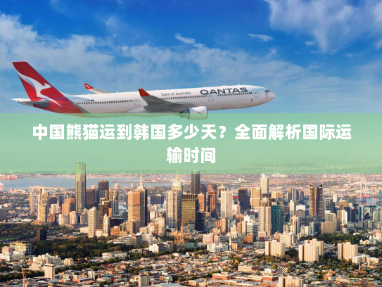 中国熊猫运到韩国多少天?全面解析国际运输时间 中国熊猫运到韩国多少天?全面解析国际运输时间