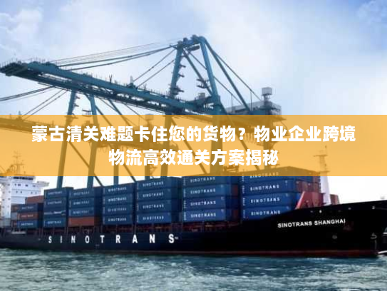 蒙古清关难题卡住您的货物?物业企业跨境物流高效通关方案揭秘 蒙古清关难题卡住您的货物?物业企业跨境物流高效通关方案揭秘