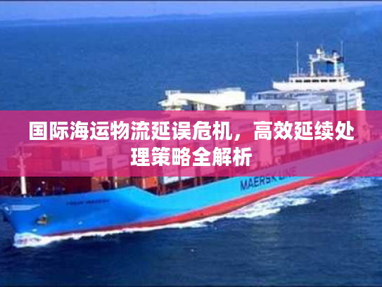 国际海运物流延误危机，高效延续处理策略全解析