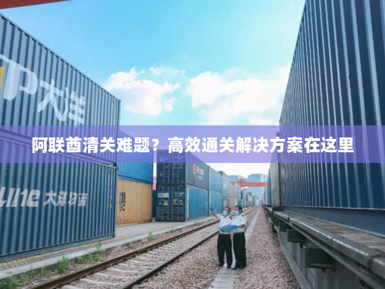 阿联酋清关难题?高效通关解决方案在这里 阿联酋清关难题?高效通关解决方案在这里