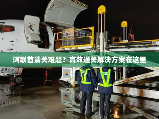 阿联酋清关难题?高效通关解决方案在这里 阿联酋清关难题?高效通关解决方案在这里