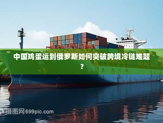 中国鸡蛋运到俄罗斯如何突破跨境冷链难题？