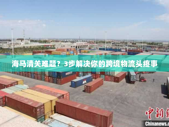 海马清关难题?3步解决你的跨境物流头疼事 海马清关难题?3步解决你的跨境物流头疼事