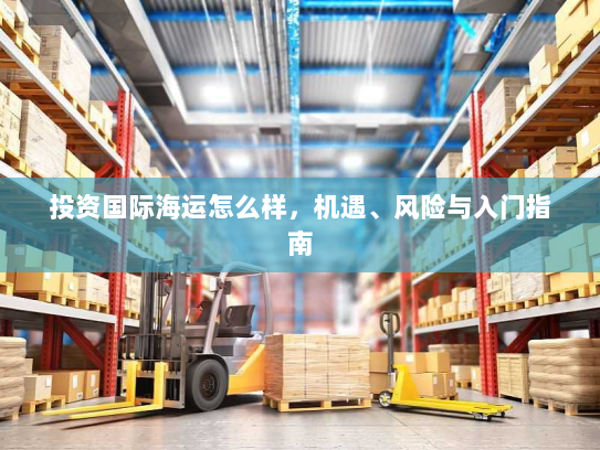 投资国际海运怎么样,机遇、风险与入门指南 投资国际海运怎么样,机遇、风险与入门指南