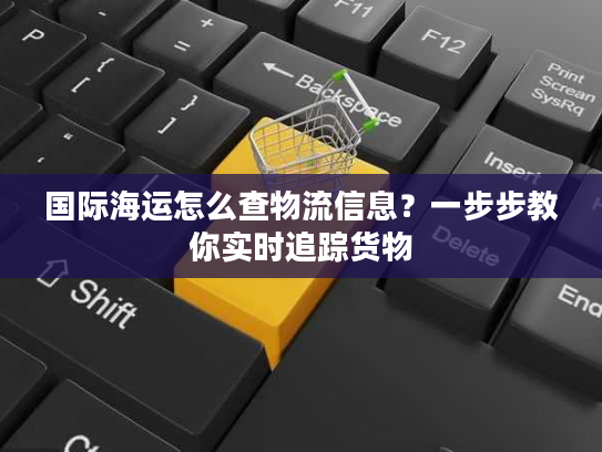 国际海运怎么查物流信息？一步步教你实时追踪货物