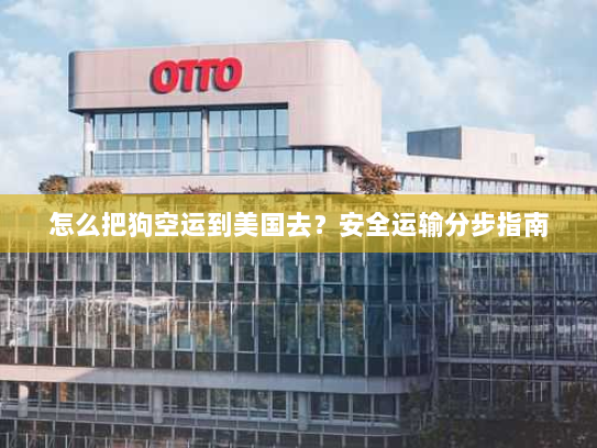 怎么把狗空运到美国去?安全运输分步指南 怎么把狗空运到美国去?安全运输分步指南