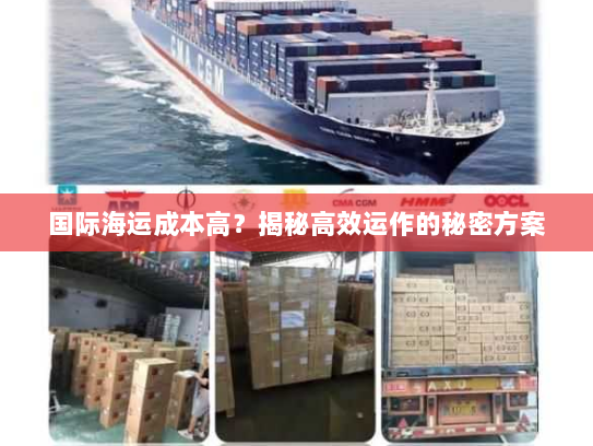 国际海运成本高?揭秘高效运作的秘密方案 国际海运成本高?揭秘高效运作的秘密方案