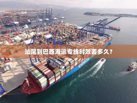 汕尾到巴西海运专线时效要多久? 汕尾到巴西海运专线时效要多久?