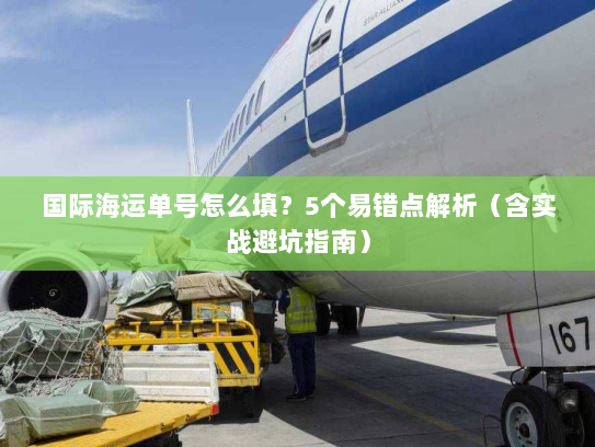 国际海运单号怎么填?5个易错点解析(含实战避坑指南) 国际海运单号怎么填?5个易错点解析(含实战避坑指南)