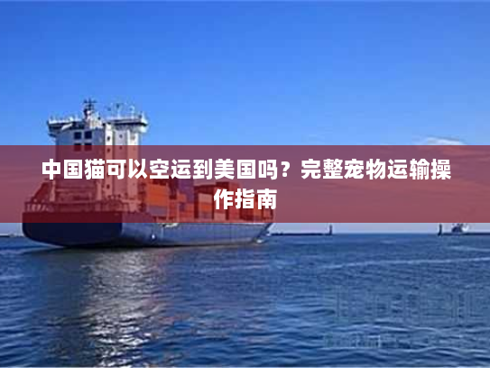中国猫可以空运到美国吗?完整宠物运输操作指南 中国猫可以空运到美国吗?完整宠物运输操作指南