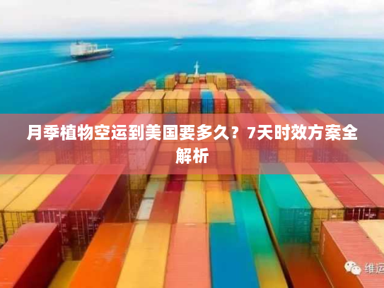 月季植物空运到美国要多久?7天时效方案全解析 月季植物空运到美国要多久?7天时效方案全解析