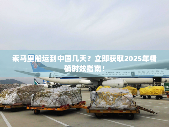 索马里船运到中国几天?立即获取2025年精确时效指南! 索马里船运到中国几天?立即获取2025年精确时效指南!