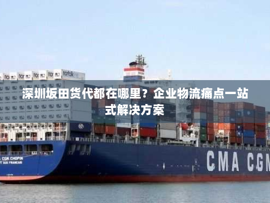 深圳坂田货代都在哪里?企业物流痛点一站式解决方案 深圳坂田货代都在哪里?企业物流痛点一站式解决方案