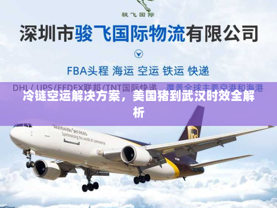 冷链空运解决方案,美国猪到武汉时效全解析 冷链空运解决方案,美国猪到武汉时效全解析