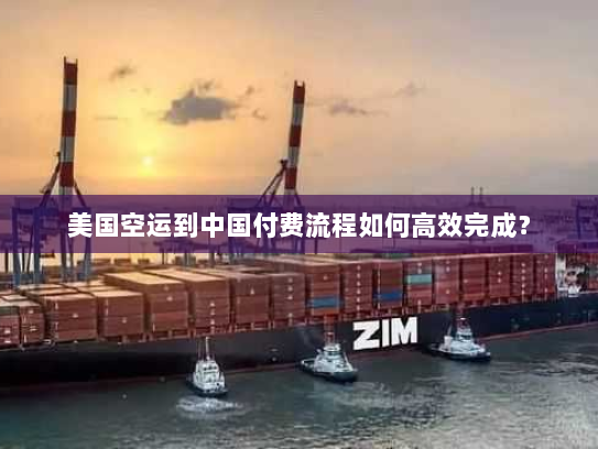 美国空运到中国付费流程如何高效完成? 美国空运到中国付费流程如何高效完成?
