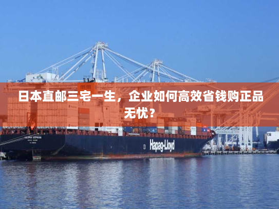 日本直邮三宅一生,企业如何高效省钱购正品无忧? 日本直邮三宅一生,企业如何高效省钱购正品无忧?