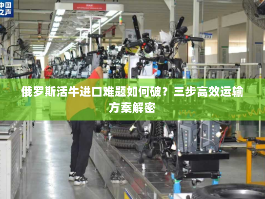 俄罗斯活牛进口难题如何破?三步高效运输方案解密 俄罗斯活牛进口难题如何破?三步高效运输方案解密