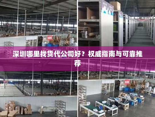 深圳哪里找货代公司好?权威指南与可靠推荐 深圳哪里找货代公司好?权威指南与可靠推荐