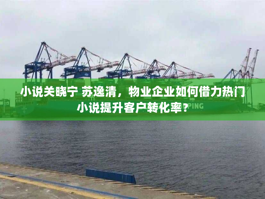 小说关晓宁 苏逸清,物业企业如何借力热门小说提升客户转化率? 小说关晓宁 苏逸清,物业企业如何借力热门小说提升客户转化率?