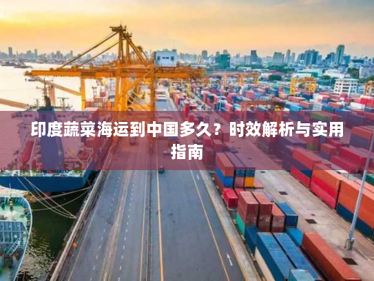 印度蔬菜海运到中国多久?时效解析与实用指南 印度蔬菜海运到中国多久?时效解析与实用指南