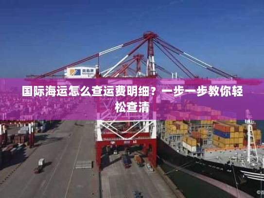 国际海运怎么查运费明细？一步一步教你轻松查清