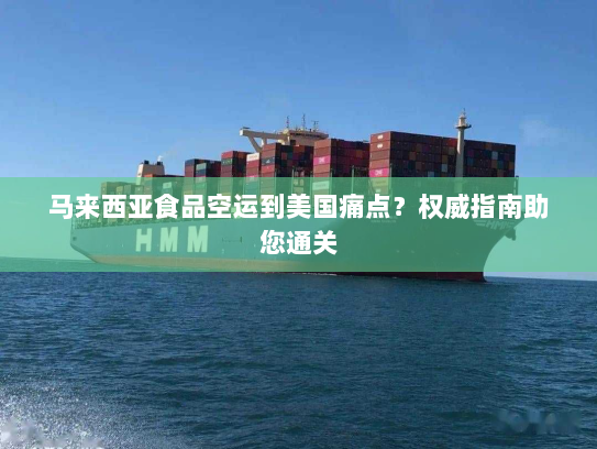 马来西亚食品空运到美国痛点?权威指南助您通关 马来西亚食品空运到美国痛点?权威指南助您通关