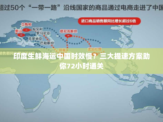 印度生鲜海运中国时效慢?三大提速方案助你72小时通关 印度生鲜海运中国时效慢?三大提速方案助你72小时通关