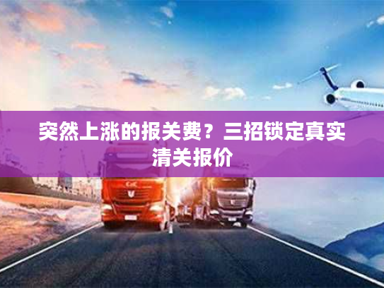 突然上涨的报关费?三招锁定真实清关报价 突然上涨的报关费?三招锁定真实清关报价