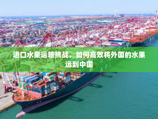 进口水果运输挑战,如何高效将外国的水果运到中国 进口水果运输挑战,如何高效将外国的水果运到中国