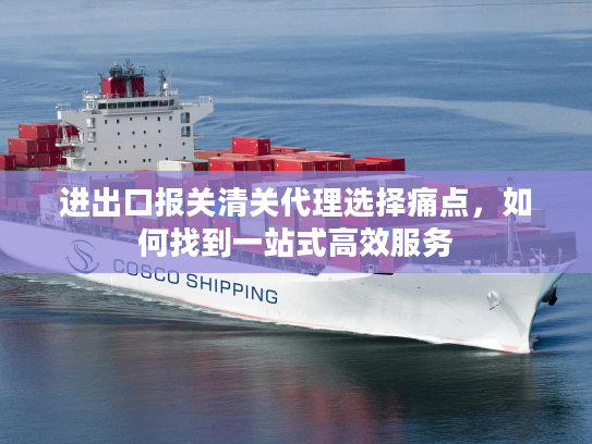 进出口报关清关代理选择痛点，如何找到一站式高效服务