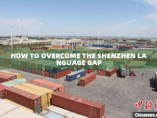 HOW TO OVERCOME THE SHENZHEN LANGUAGE GAP HOW TO OVERCOME THE SHENZHEN LANGUAGE GAP