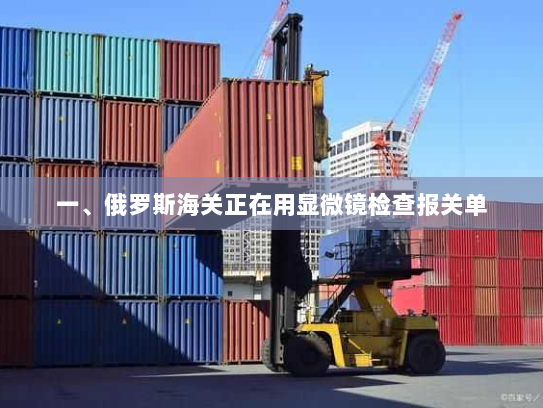 一、俄罗斯海关正在用显微镜检查报关单 一、俄罗斯海关正在用显微镜检查报关单
