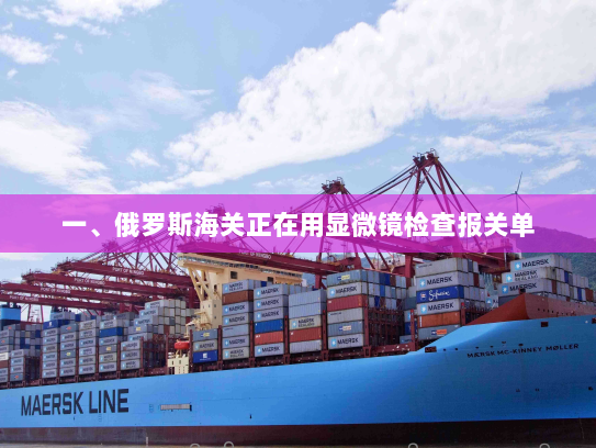 一、俄罗斯海关正在用显微镜检查报关单 一、俄罗斯海关正在用显微镜检查报关单