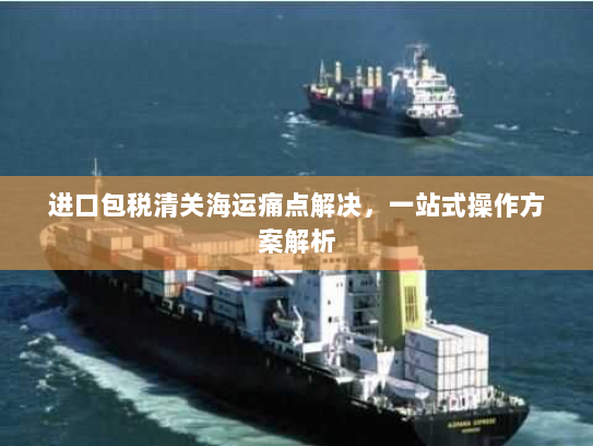 进口包税清关海运痛点解决,一站式操作方案解析 进口包税清关海运痛点解决,一站式操作方案解析