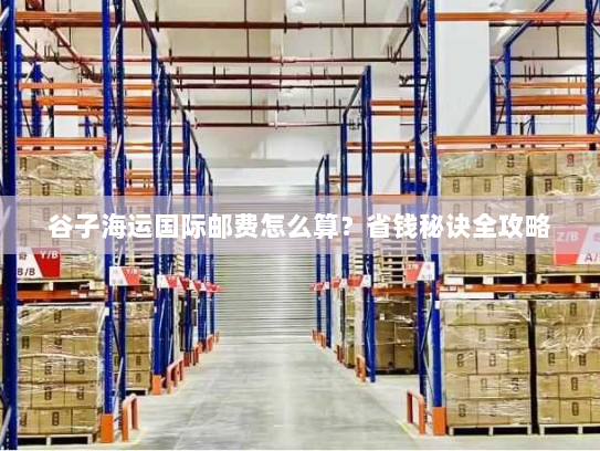 谷子海运国际邮费怎么算?省钱秘诀全攻略 谷子海运国际邮费怎么算?省钱秘诀全攻略