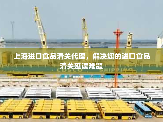 上海进口食品清关代理,解决您的进口食品清关延误难题 上海进口食品清关代理,解决您的进口食品清关延误难题
